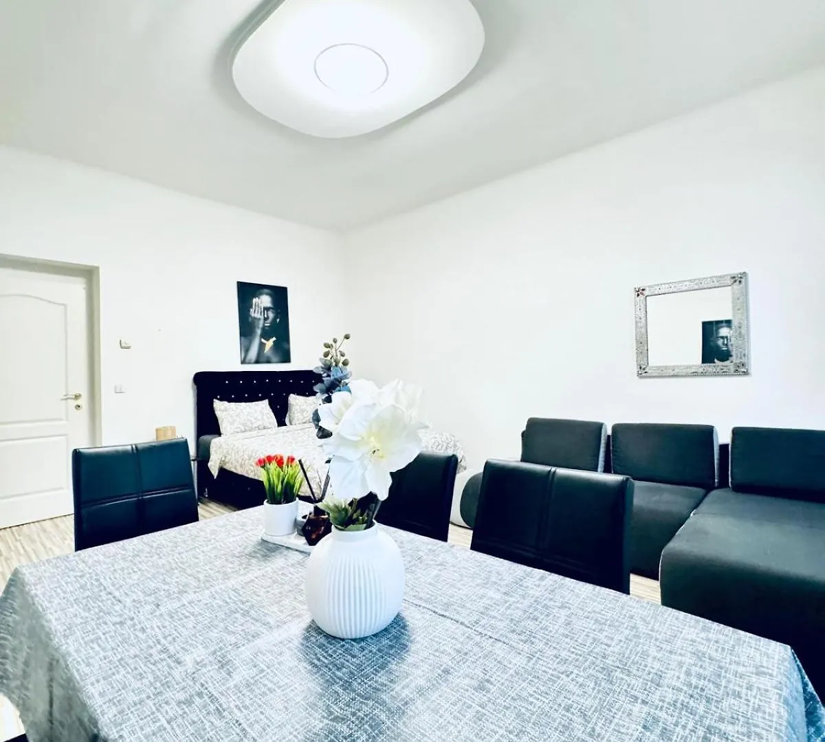 Affordable 2Br Apartment, Close To Danube River 비엔나
